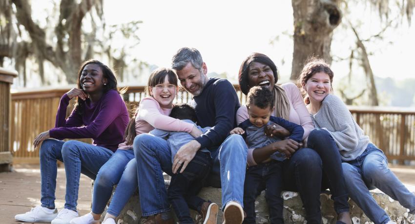 Stepfamily